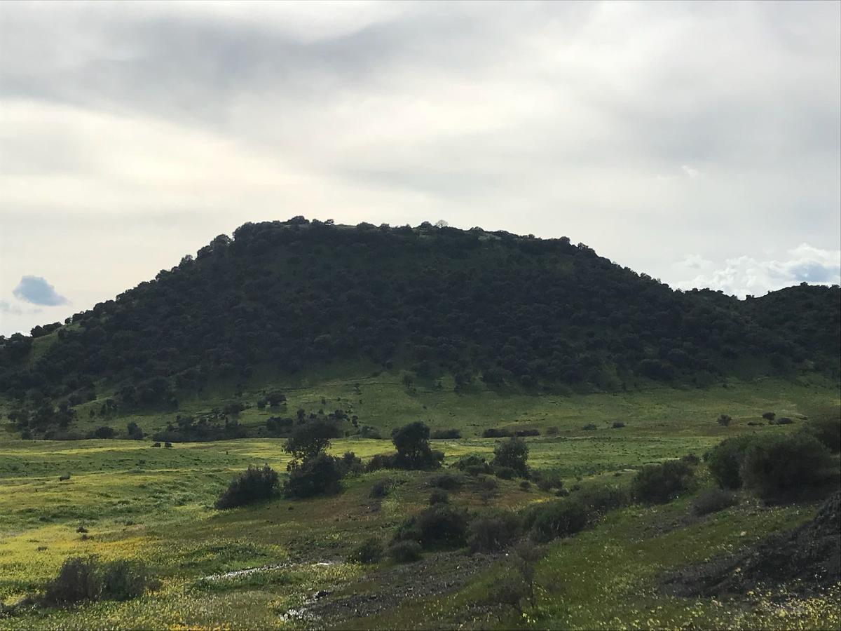 Casa Rural La Barandilla Vendégház Villafranca de Córdoba Kültér fotó